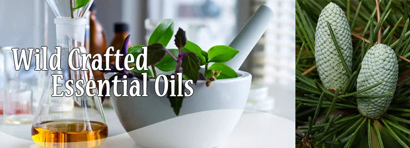Wildcrafted vs. Organic Essential Oils