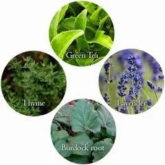 Grow Your Own Skin Care